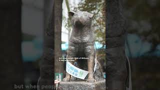 Giant 3D Dog Leaps Between Billboards in Tokyo 🐕