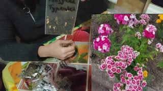 Пропоную насіння квітів та овочів по привабливій ціні ! 🏵️🍅🌸🌶️🌼02.01.2025