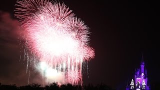 TDL カウントダウン 花火 2014 「ニューデイ・ニュードリームズ」Tokyo Disneyland fireworks - New Day New Dreams Countdown 2014