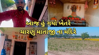 આજ હું ગયો ખેતરે ચારણું માતાજીના મંદિરે #vlogger #vlogs #village #villagelife #vlogging