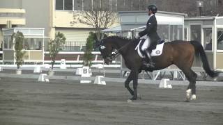 第88回全日本学生馬術選手権大会　準決勝馬場馬術競技　大富祥貴選手（専修大学）・暁桜　貸与