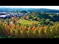 絶景　 紅葉　 石川県太陽が丘メタセコイア並木道 °´˘`°