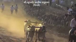 राहुल शेठ सदाशिव कडूसकर किवळे