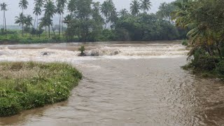 MULLAIPERIYAR RIVER| UTHAMAPALAYAM|THENI |NATURE VIEW|#SHORTS #YOUTUBE SHORTS