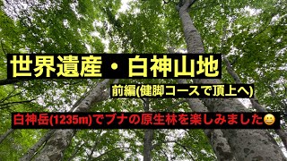 【50歳で秋田移住】白神山地・白神岳(1235m)登山・前編