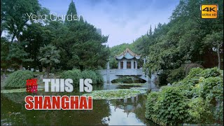 【4K. Shanghai】Yejia Garden隐藏在都市里的花园：叶家花园 \\ Travel around Shanghai: \\上海の街