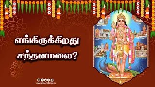 Where is Sandalwood? | Spirituality | Spirituality | Dinamalar