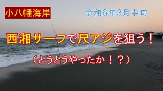 こんどこそ西湘サーフで尺アジを狙う！（ぶっこみサビキ釣り）