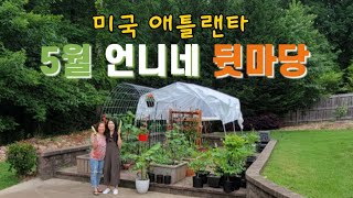 [미국일상]애틀랜타 5월 언니네 볼 것 넘치는 뒷마당 텃밭 이야기 | 애틀랜타가 좋은 이유 Atlanta Garden in May 애틀맘