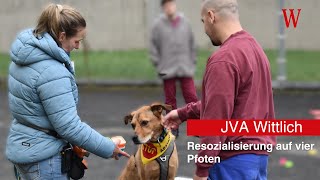 JVA Wittlich: Resozialisierung auf Pfoten