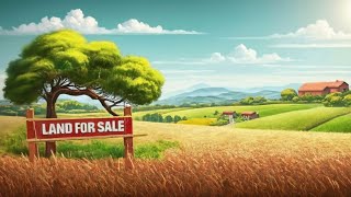 8 Bigha Agriculture Land in Roorkee: The Perfect Farmhouse Opportunity #landforsale #land #landsc