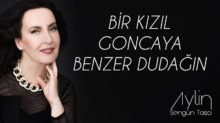 Aylin Şengün Taşçı - Bir Kızıl Goncaya Benzer Dudağın