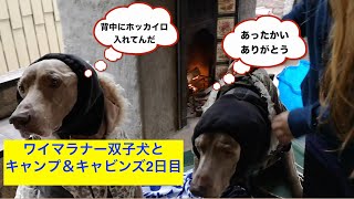 [ワイマラナー/犬と旅行]weimaranerとキャンプ\u0026キャビンズに行って来たよ。2日目