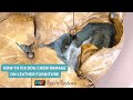 Repair Giant Dog Chew Hole in Leather Furniture & Upholstery