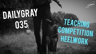 Teaching Competition Heelwork | DailyGray 035