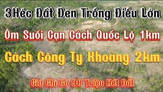 (Đã Bán) khoảng 3Héc Điều Kinh Doanh Cách Dân 2km Giá Chỉ Có 90 Triệu Có Thương Lượng Nhẹ