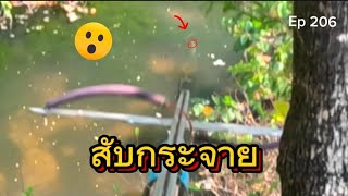 Ep 206 ซัดกระจาย#ยิงปลาบนบก#ยิงปลาด้วยหน้าไม้