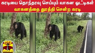 கரடியை தொந்தரவு செய்யும் வாகன ஓட்டிகள் - வாகனத்தை துரத்தி சென்ற கரடி