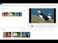 window10 フォトでスライドショーを作る方法