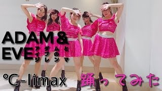 【℃-ute】アダムとイブのジレンマ 踊ってみた【℃-limax】