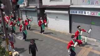 霊波之光　高知支部　RHK－くろしお　よさこい祭り2013　上町