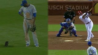 KC@STL: Cat visits, Cards take lead on grand slam