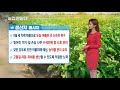 ytn 농업전망대 과일·과채 관측 10월 2019.10.12