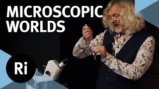 The World Under A Microscope With Marty Jopson