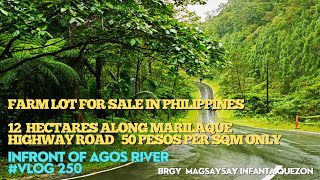 #vlog250 12 HECTARES FARM LAND ALONG NATIONAL HIGHWAY - 50 PESOS PER SQM