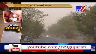 Gujarat: Unseasonal rain brings relief from scorching heat, farmers fear crop failure - Tv9