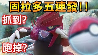 【Pokémon Go】固拉多五連發!!老禮包上架!!