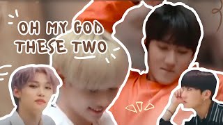 Stray Kids | Content Analysis & Editing I Adorable Moments: Felix and Changbin (Changlix) #39