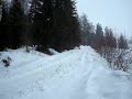 kubota im winterdienst 2.wmv