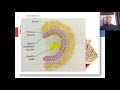 CSOM Atticoantral part1