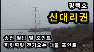 [평택시]_ 신대리권 평택호 / 철탑 밑 대물터 / 산란 이후 조용히 터지는 곳 / 경기도 평택시 팽성읍 신대리 낚시 포인트