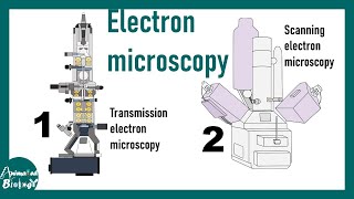 Electron microscopy detailed concepts | SEM vs TEM | working principles and applications
