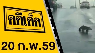 คดีเด็ด ออกอากาศ 20 กุมภาพันธ์ 2559