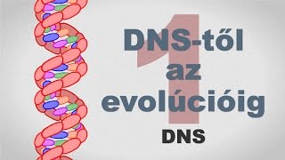 A DNS-től az evolúcióig - csak egyszerűen (1. rész)