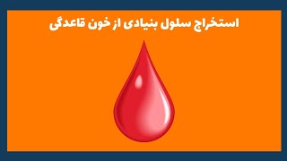 آزمایشگاه مجازی سلول های بنیادی- استخراج سلول بنیادی از خون قاعدگی