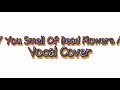 You Smell Of Dead Flowers - By @vslush // Vocal Cover