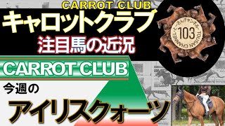 【一口馬主】キャロット「アイリスクォーツ」シェイプアップ状況は？