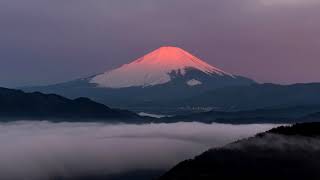 押し寄せる雲海と富士・箱根