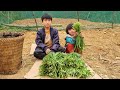 Orphan boy and homeless girl harvest fragrant strawberries to sell - and cook - boy orphaned parents