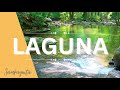 laguna by sampaguita