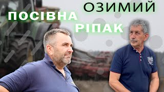 Озимий ріпак РЖТ НІЗЗА КЛ // Посівна