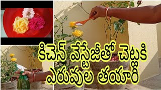 పూలచెట్లకి వంటింటి వ్యర్ధాలతో ఎరువులు #ఒక్క రూపాయి ఖర్చులేకుండా #