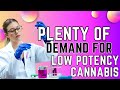 The Untapped Potential of Low Potency Weed