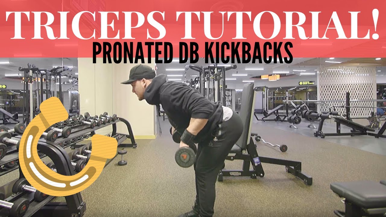 Pronated Db Kickbacks At Brodie Eldershaw Blog