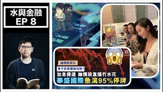 水與金融 EP 8－麥明詩張相，你點影的？｜細價股爆煲｜水哥點靠細價股發圍？細價股點估價？｜