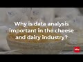 Why is data analysis important in the cheese and dairy industry?